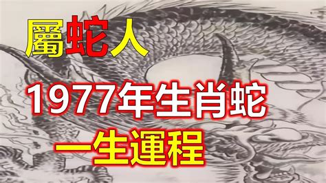 1977屬蛇幸運色2023|【1977年屬相】原創生肖蛇 